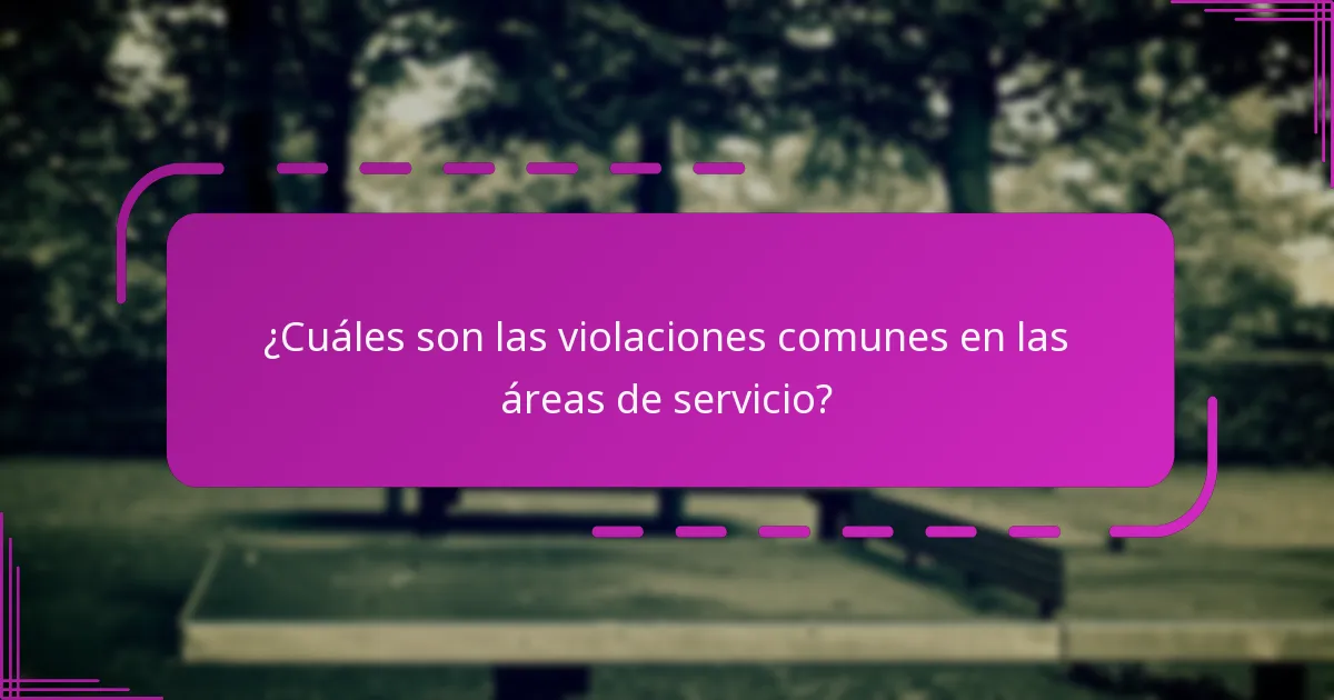 ¿Cuáles son las violaciones comunes en las áreas de servicio?